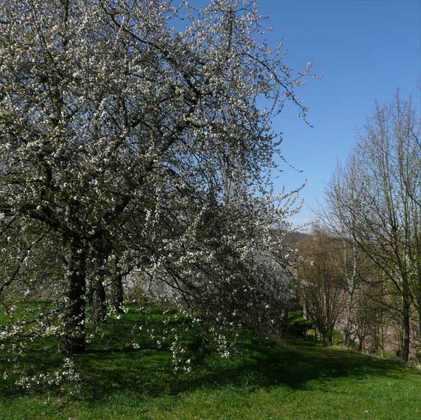 2-10-0-contr-un-jardin-philosophe 
