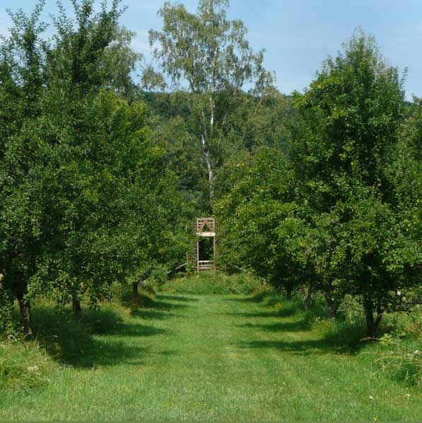 2-11-0-med-un-jardin-philosophe 