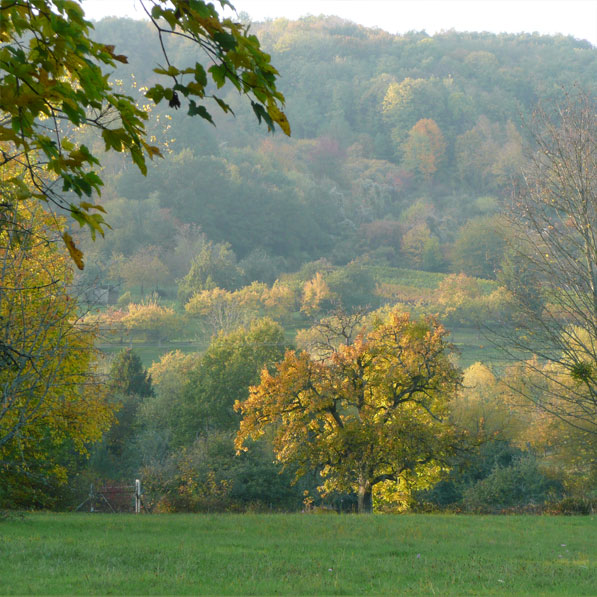 2-11-3-pays-un-jardin-philosophe  