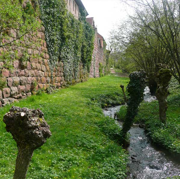 2-12-3-douv-un-jardin-philosophe  