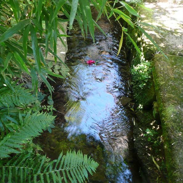 2-13-6-canal-un-jardin-philosophe  