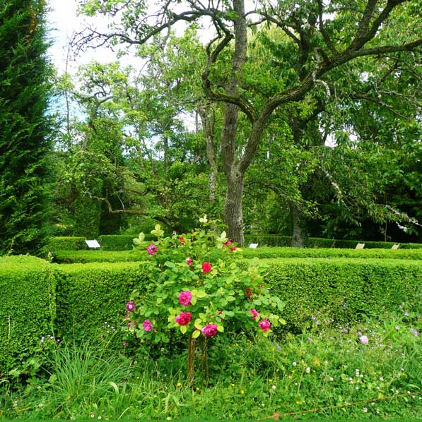 2-5-0-para-un-jardin-philosophe