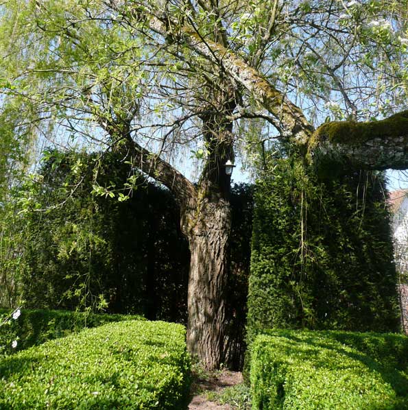 2-7-1-saule-un-jardin-philosophe