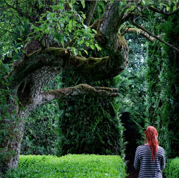 2-7-2-vers-un-jardin-philosophe