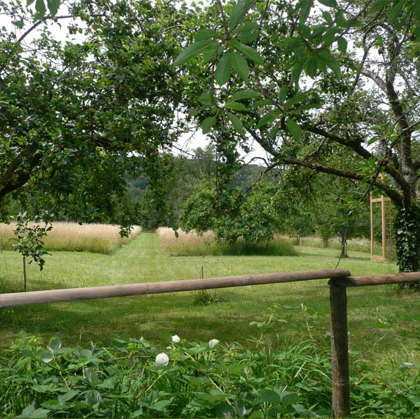 2-9-1-dam-un-jardin-philosophe