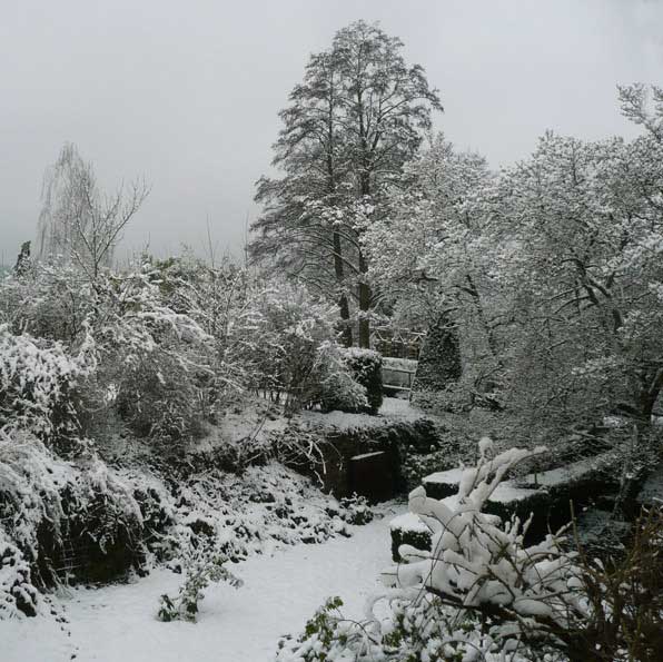 Un jardin noir et blanc