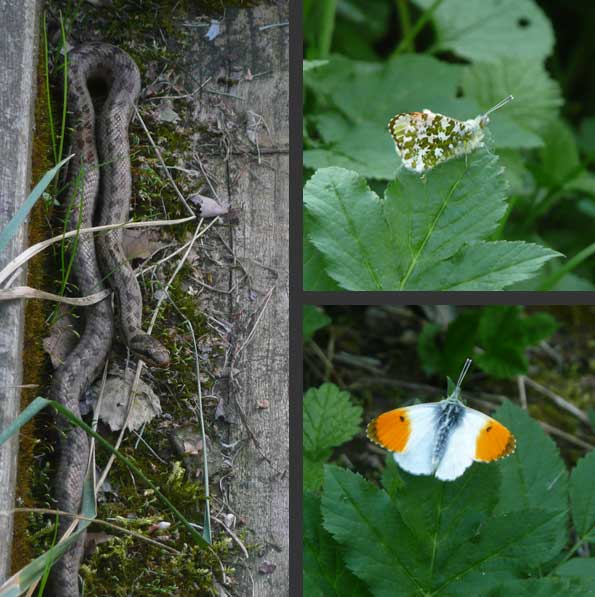 Des mod&egrave;les plus naturels