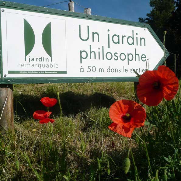 Coquelicots
