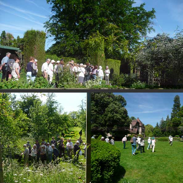 La Soci&eacute;t&eacute; d'Horticulture