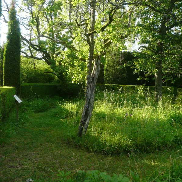 Le labyrinthe