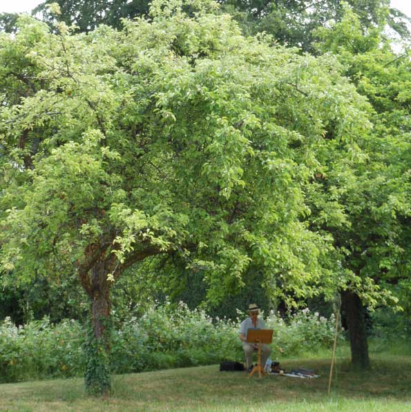 3-3-6-airs-un-jardin-philosophe  