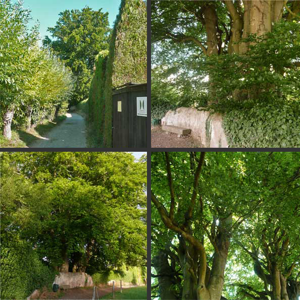 L'ornement du chemin de promenade