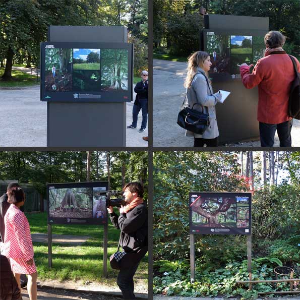 Tous les arbres &eacute;taient exceptionnels