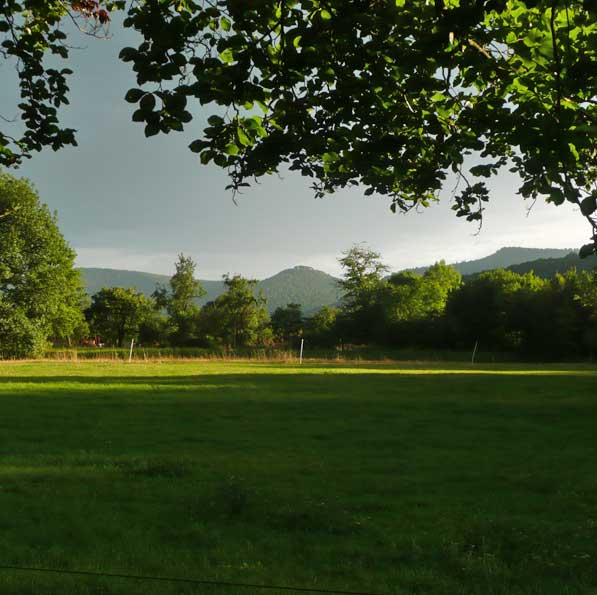 La vue paysag&egrave;re