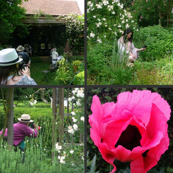 Selfies parmi les fleurs