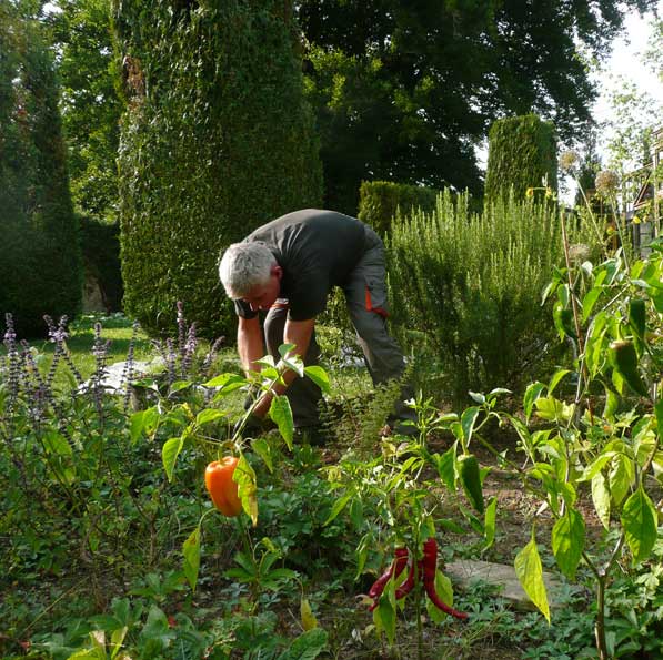 La r&eacute;vision du potager