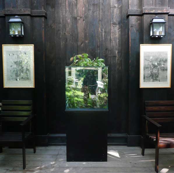 La vitrine v&eacute;g&eacute;tale