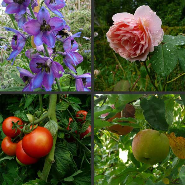 3-5-17-apre-un-jardin-philosophe 