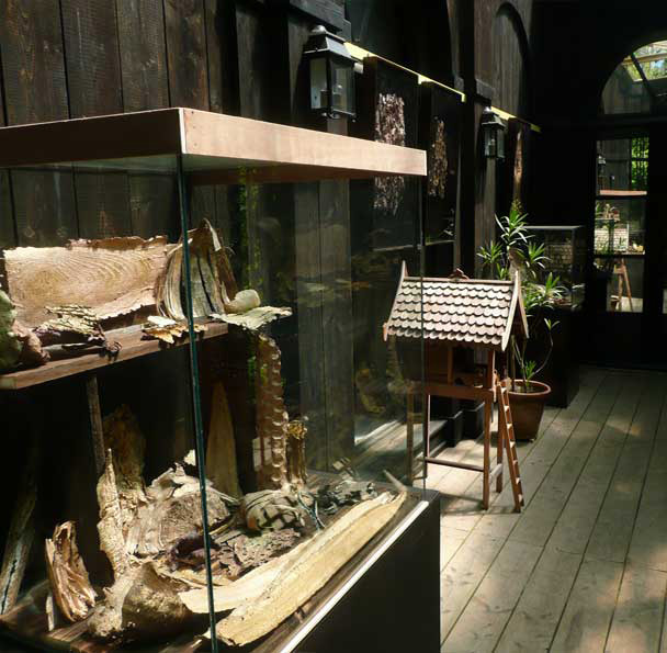 3-5-3-expo-un-jardin-philosophe 